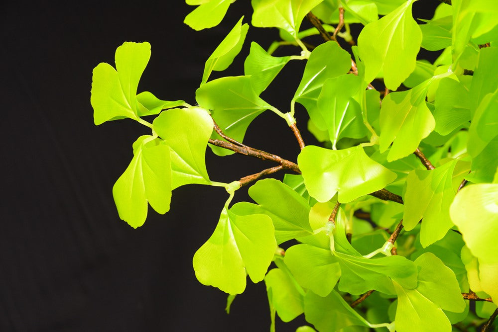 9.5 ft LED Ginkgo Tree